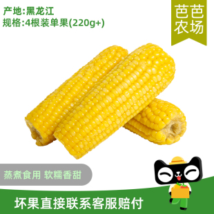 单果220g 芭芭农场兑换 黄糯玉米4根 建议蒸煮食用口感更佳