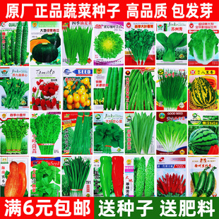 四季 蔬菜种子大全家庭菜园青菜萝卜白菜夏秋耐热瓜果蔬菜种籽种孑