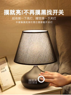 现代创意网红家用客厅台灯 北欧卧室床头灯 温馨浪漫简约触摸台灯