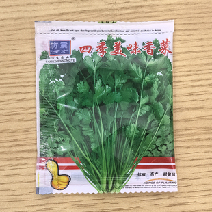 香菜种子四季 蔬菜种籽庭院种植农家小叶香菜籽高产