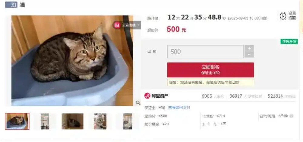 屏幕截图_23-8-2025_42442_baijiahao.baidu.com.jpeg